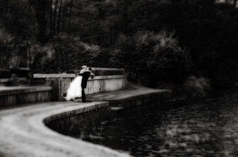 Wedding Photo Albums - Picture Perfect-Image 17453