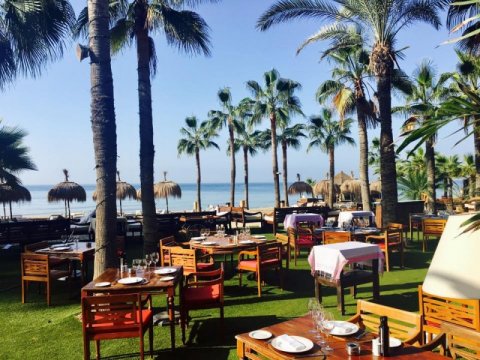 Honeymoons and Overseas Weddings - Marbella Wedding Angels-Image 44189