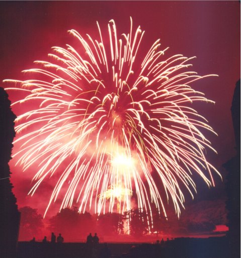 Wedding Fireworks Displays - Skyburst The Firework Company-Image 13641