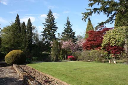 The gardens at Gatton Manor - Gatton Manor Hotel and Golf Club 