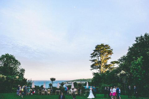 By Barney Walters - The Rosevine