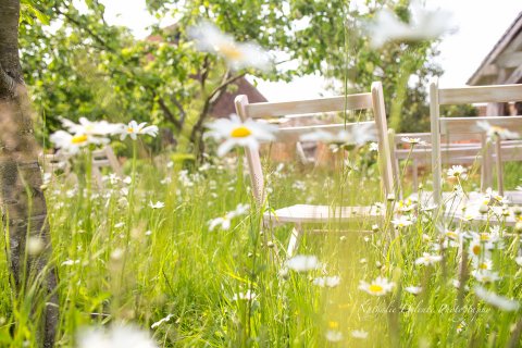 Wedding Ceremony and Reception Venues - Cressing Barns-Image 28602