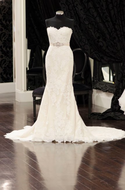 Wedding Dresses and Bridal Gowns - Amore Brides (new name for Teokath of London - Canterbury Boutique)-Image 21939