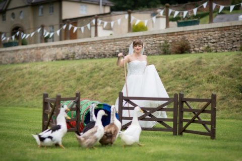 Herding geese! - Tracey Estate