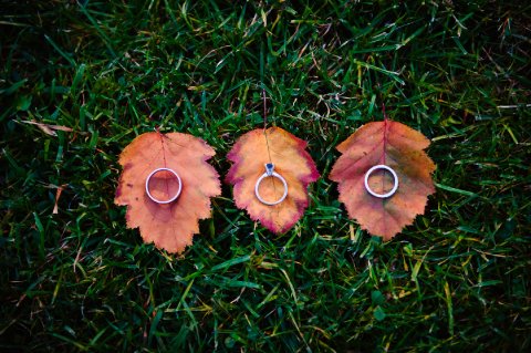 Wedding Photographers - Mona Ali Photography-Image 8206