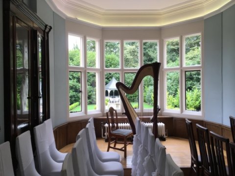 Awaiting the happy couple - Meredith McCracken - Harpist