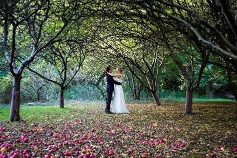 Wedding Ceremony and Reception Venues - Berwick Lodge-Image 11071