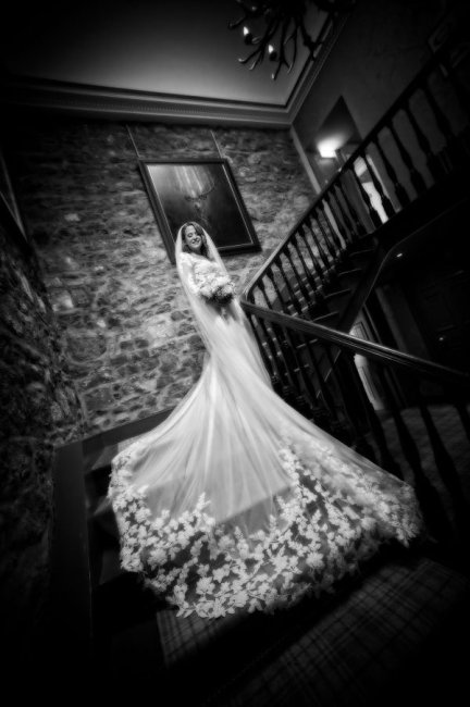 Wedding Photographers - Elite Photographics Ltd-Image 49062