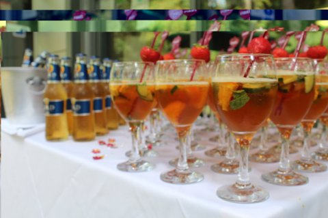 Wedding Ceremony and Reception Venues - Forever Green-Image 14623