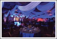 Wedding Music and Entertainment - Arena Entertainment Systems-Image 42595