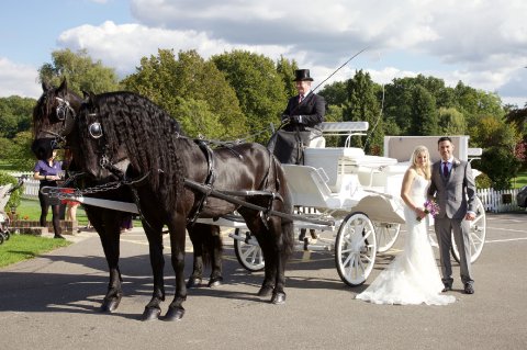 Wedding Reception Venues - Ampfield Golf & Country Club-Image 1786