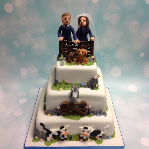 Wedding Cake Toppers - Crafty Cakes | Exeter-Image 19000