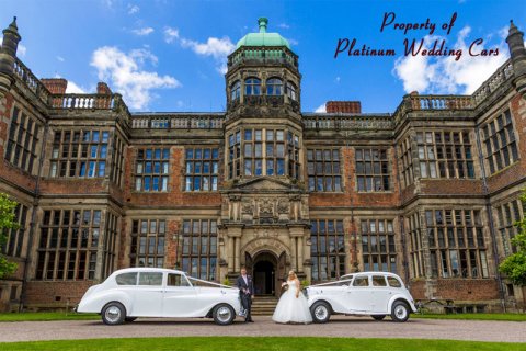 Wedding Cars - Platinum Wedding Cars-Image 33051