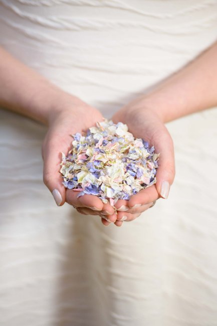 Vintage Daydream confetti - Shropshire Petals