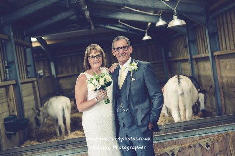 Donkey Sanctuary - Passion 4 Photos