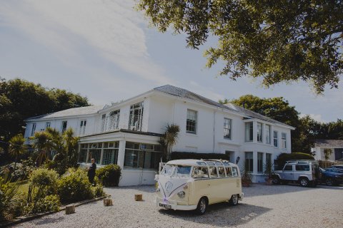 By Alan Law - The Rosevine