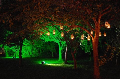Tree colourwash and hanging brass lanterns by Stressfreehire.com - Mrs