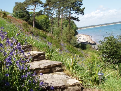 Beach Steps - Harry Warren House