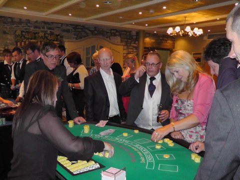 Wedding Fun Casinos - Casino Casino Casino Ltd-Image 32003