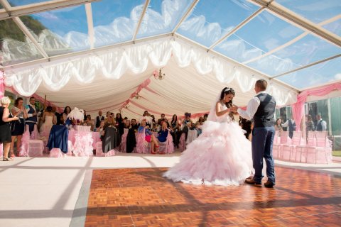 clear roof panels - 24 Carrot Events