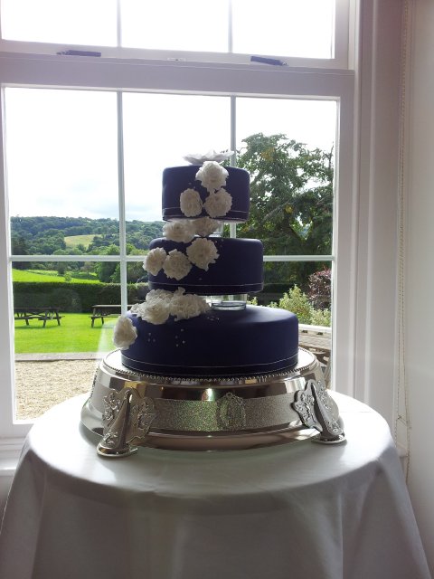 Wedding Cakes - The Cake Genie-Image 14661