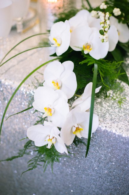 Wedding table centrepiece of stunning white phalaenopsis orchids - Pamella Dunn Events