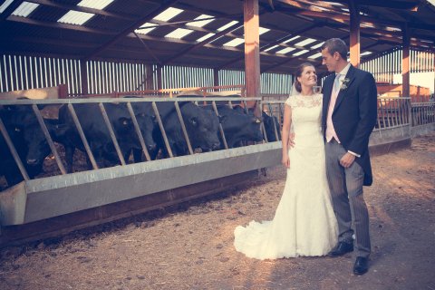Wedding Reception Venues - HOME FARM EVENTS-Image 33939