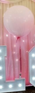 Tulle covered latex balloon - Balloon and party Kingdom