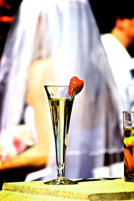 Champayne - DD Photography