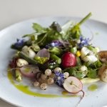 Wedding Ceremony Venues - Priory Bay Hotel-Image 10446