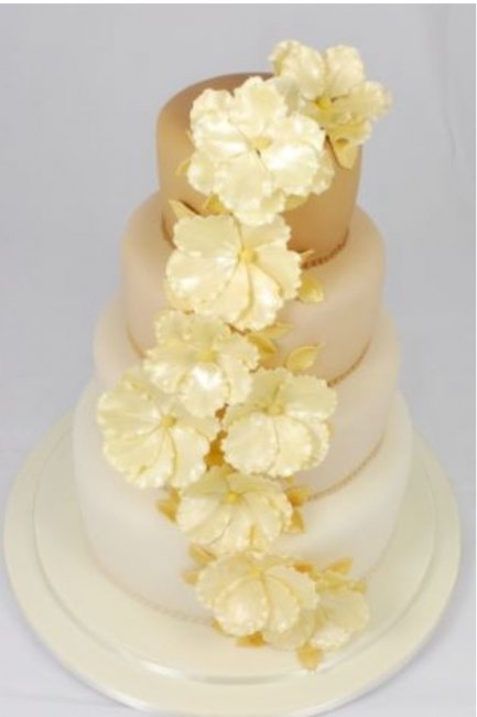 Cake with shading through tiers - Cakes of Good Taste