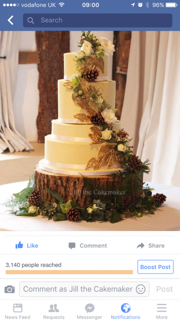 Wedding Cakes - Jill the Cakemaker -Image 12721