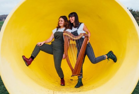 Wedding Music and Entertainment - 2 of Harps-Image 47615