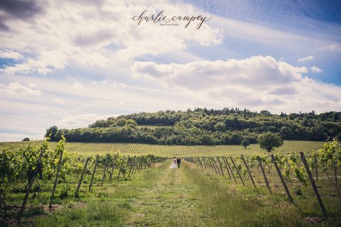Wedding Ceremony and Reception Venues - Denbies Wine Estate -Image 10759