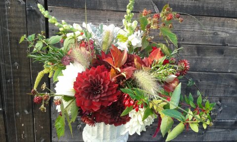 Seasonal Colours - Far Hill Flowers