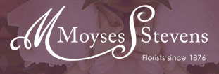 Logo - Moyses Stevens Flowers