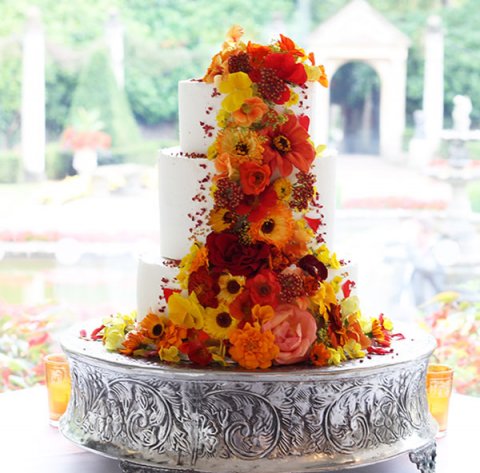 Wedding Cakes - Jill the Cakemaker -Image 12719