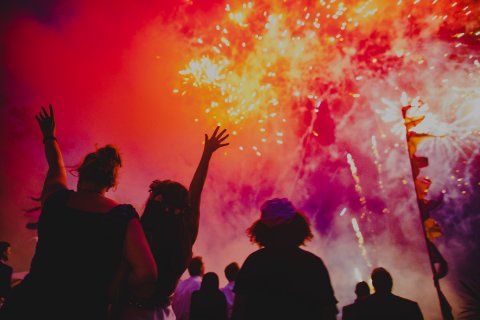 By Alan Law - The Rosevine