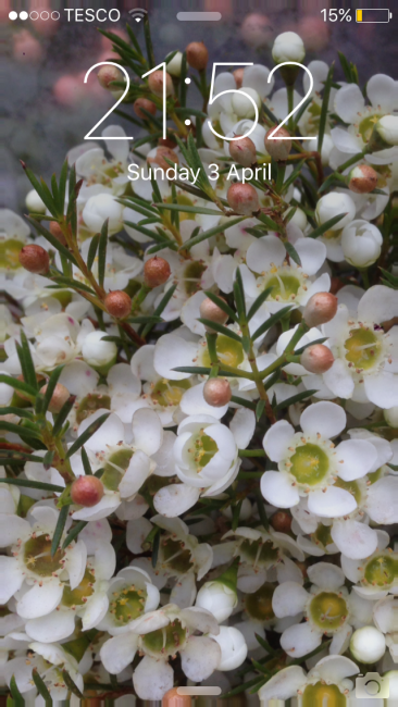 Wedding Flowers - Hall of Flowers-Image 20304