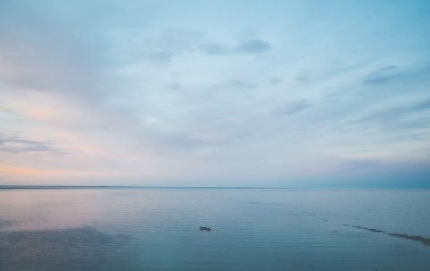 Capture The Day - Mark J Hillyer Photography-Image 15302