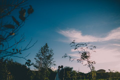 Wedding Photographers - Dan Ward Wedding Photographer Cornwall-Image 2127