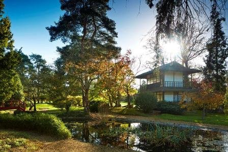 Wedding Accommodation - Fanhams Hall, an Exclusive Hotel-Image 4490