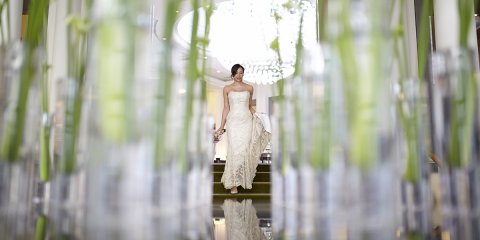 Wedding Photographers - Bushfire Photography-Image 2624