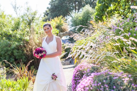 Wedding Catering and Venue Equipment Hire - Ventnor Botanic Garden-Image 14039