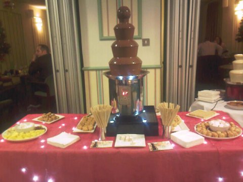 Wedding Cakes and Catering - Chocolate Fountains Hire-Image 12332