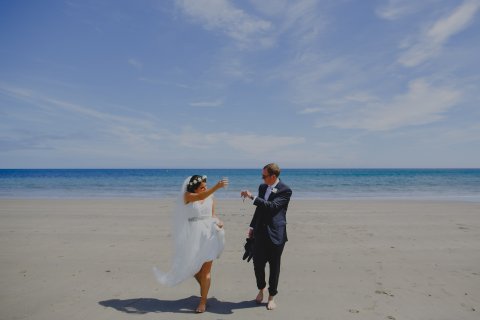 By Alan Law - The Rosevine