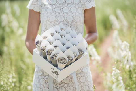 Shropshire Box with 25 Confetti Cones - Shropshire Petals