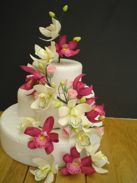 cymbidium orchids - Anns Sugarcraft Heaven