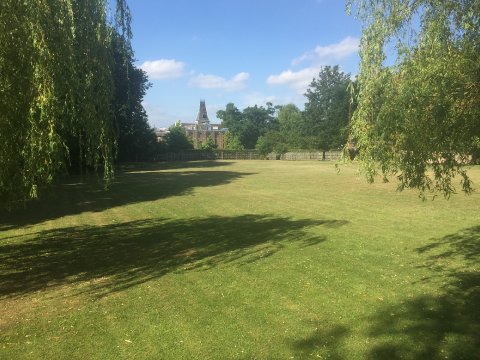 Our private Meadow - Dulwich Picture Gallery