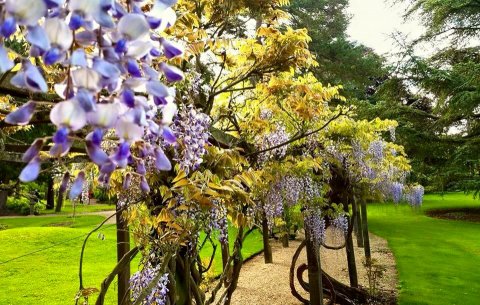 Wedding Accommodation - Fanhams Hall, an Exclusive Hotel-Image 4459